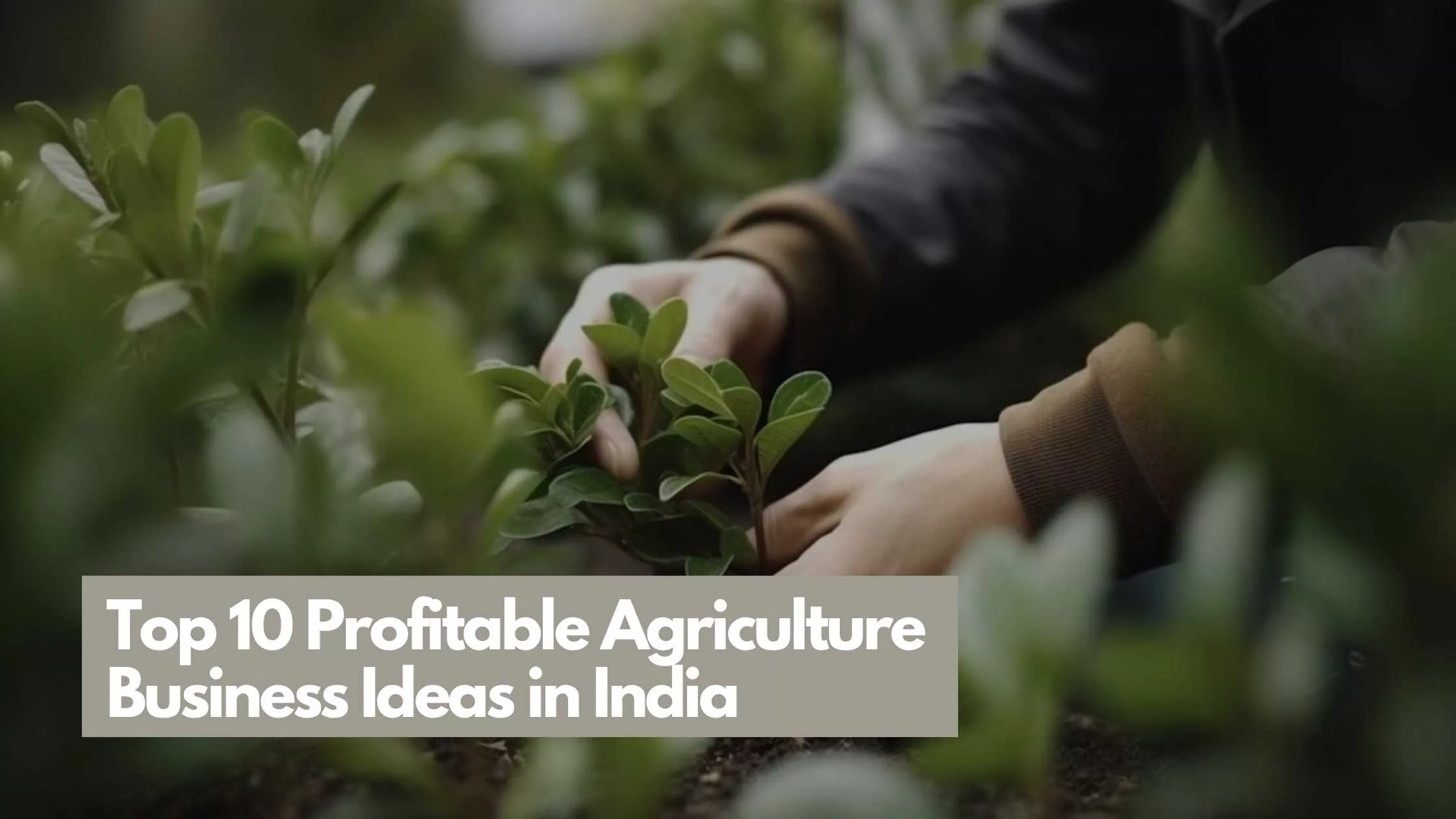 Profitable Agriculture Business