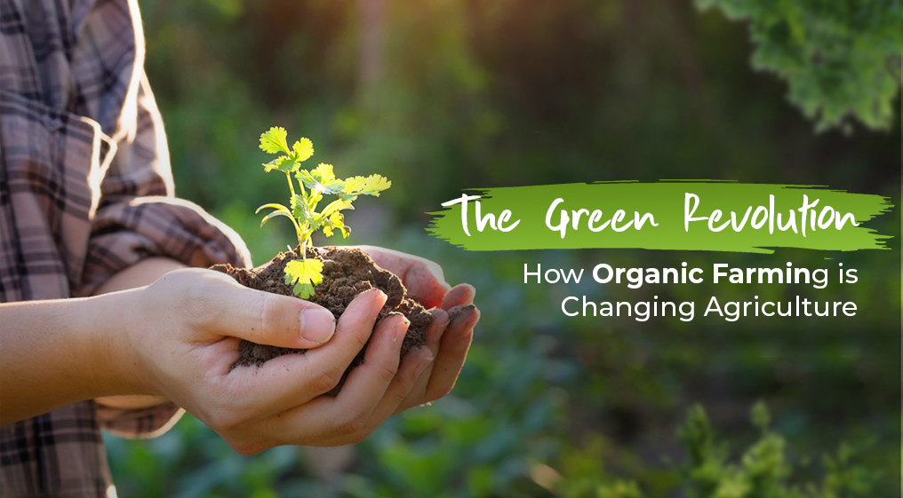 The Green Revolution How Organic Farming is Changing Agriculture
