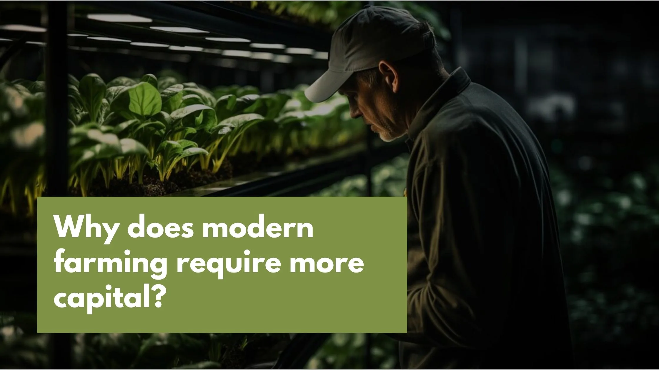 picture depicts for modern farming in which old man is planting a sapling