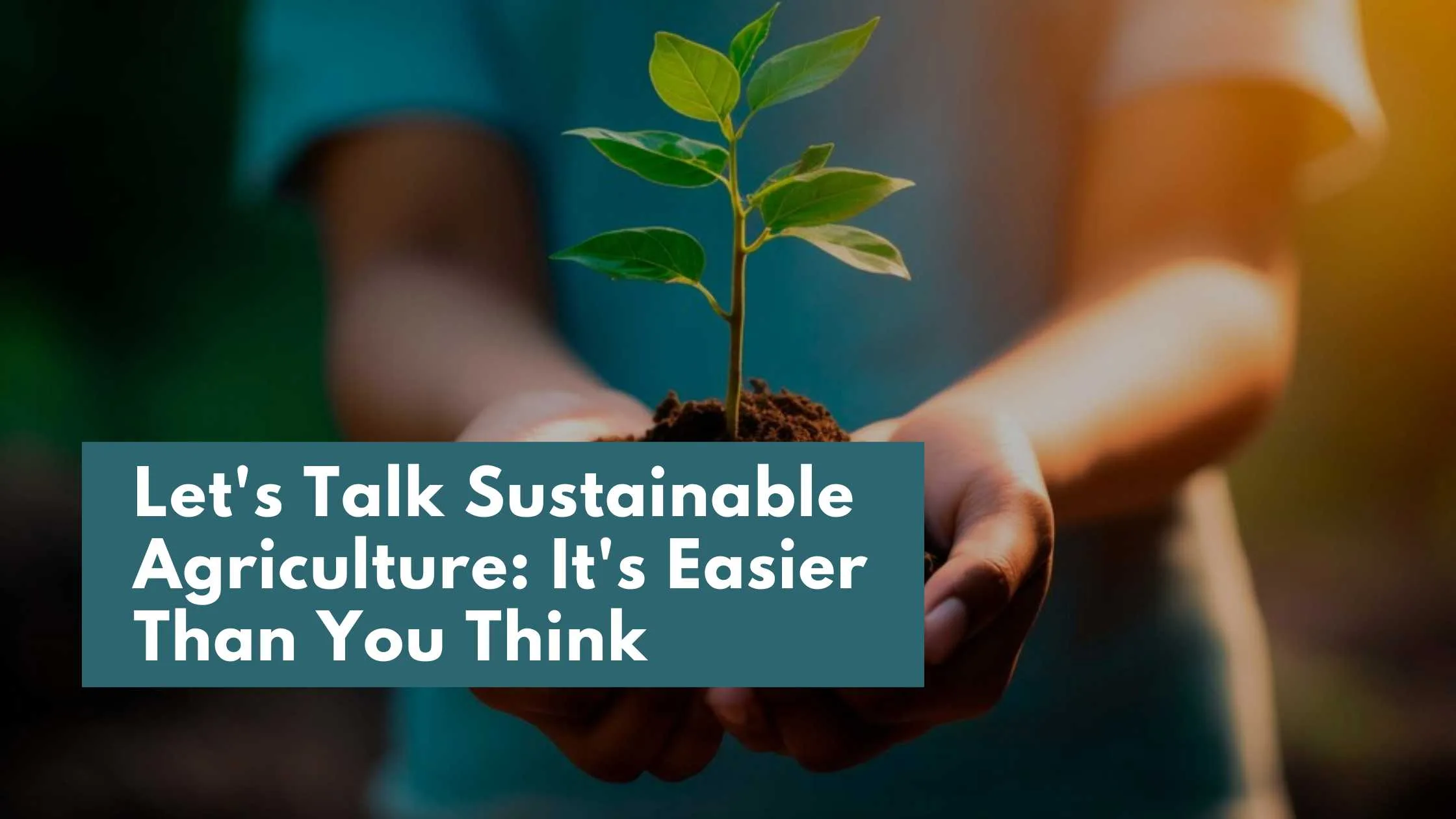 Eco-conscious individual nurturing a sapling with care