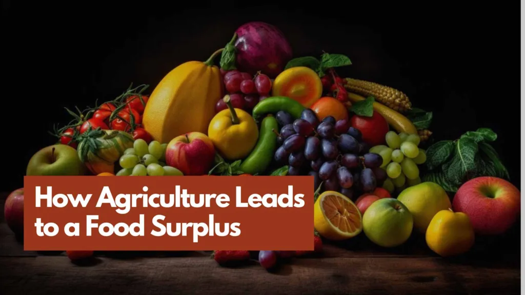 Table full of fruits and vegetables depicting the image of food surplus