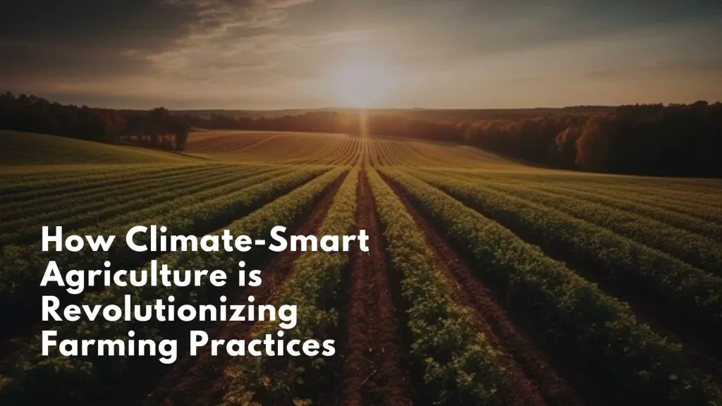 Climate Smart Agriculture