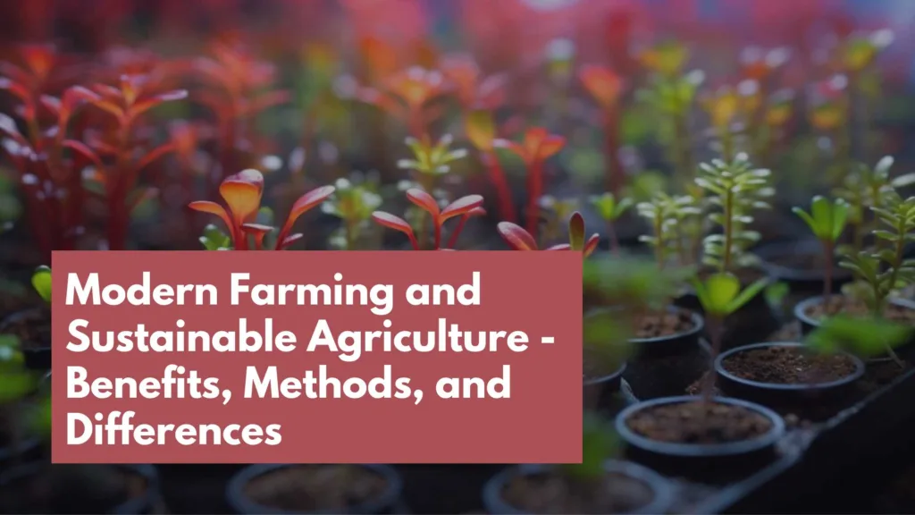 Modern Farming and Sustainable Agriculture