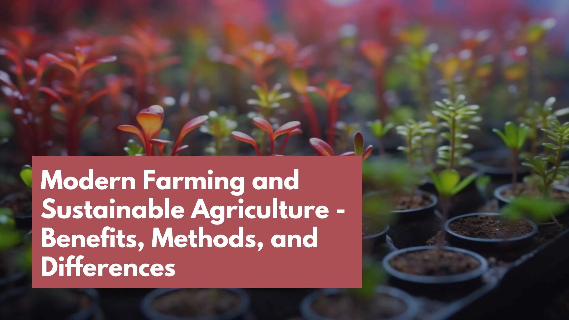 Modern Farming and Sustainable Agriculture
