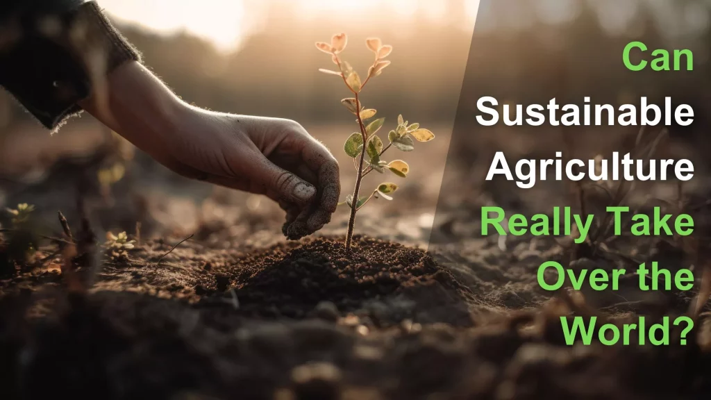 Man's hand is planting a sapling for sustainable agriculture