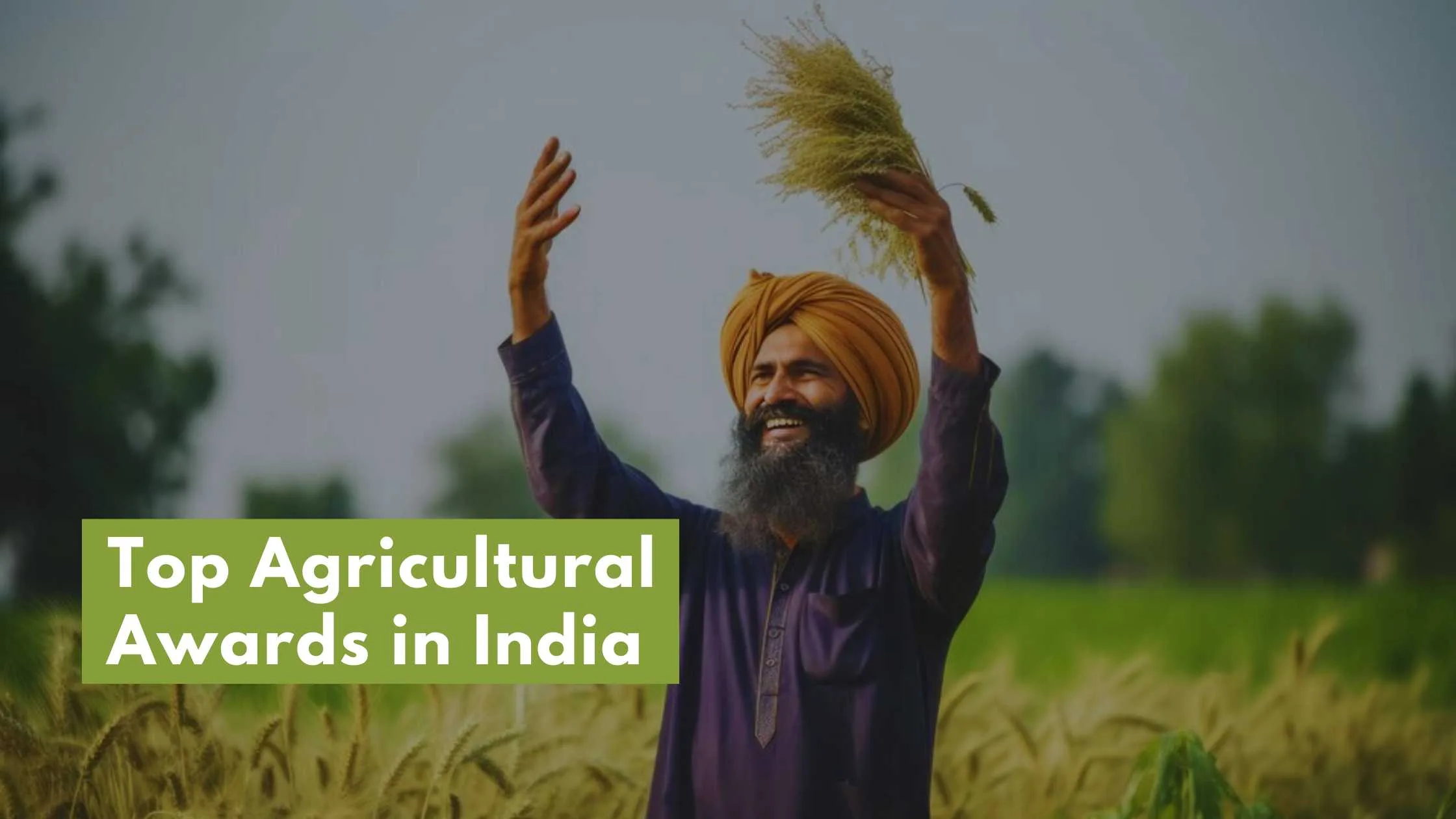 Farmer rejoicing in the cultivation of crop. Picture depicts the scenario for Agricultural awards