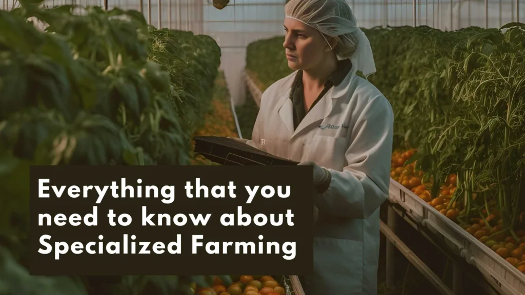 Lady checking the plants and its health stating the specialized farming
