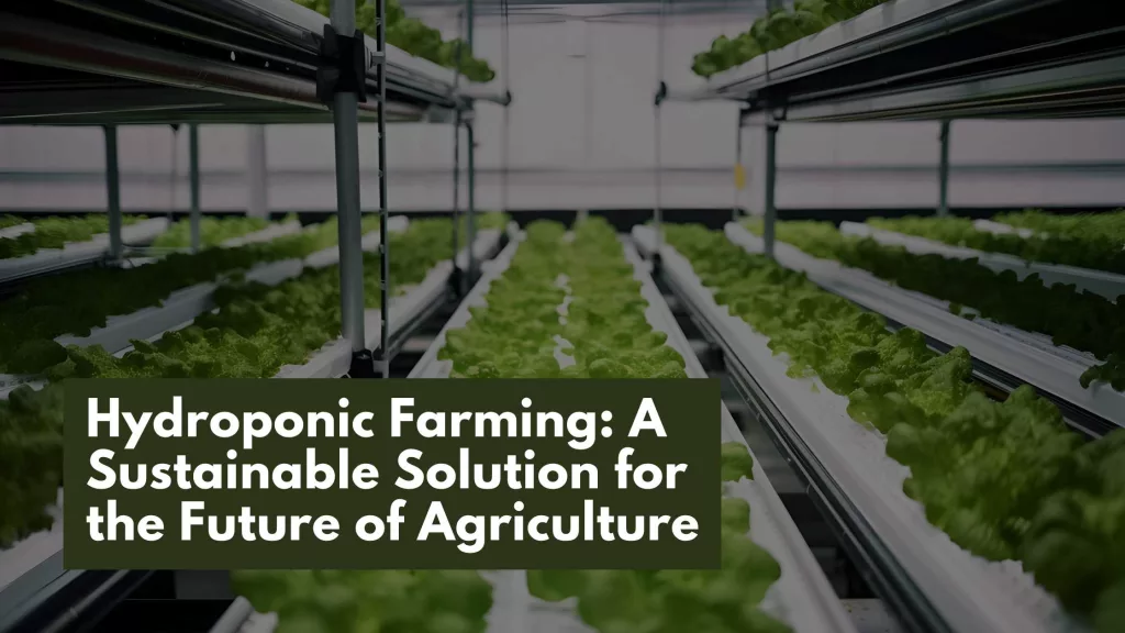 Hydroponic Farming