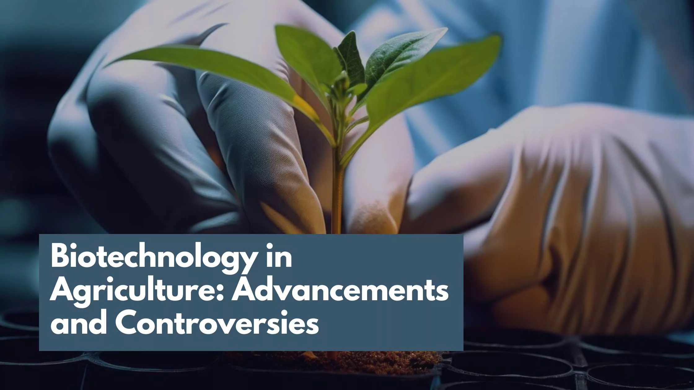 Biotechnology in Agriculture