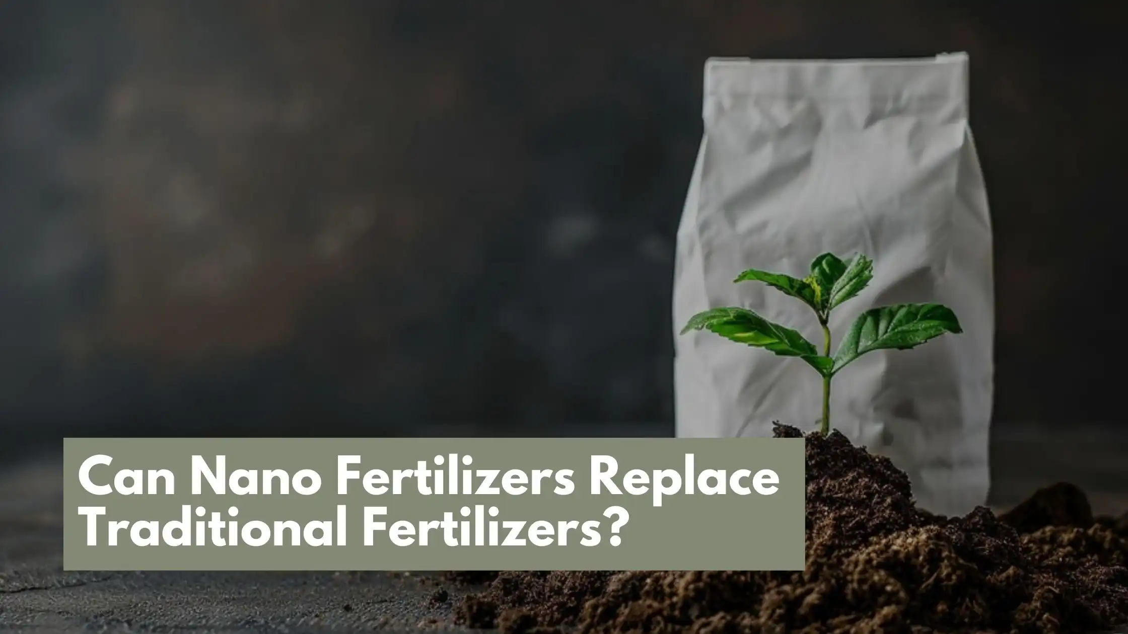 Nano Fertilizers