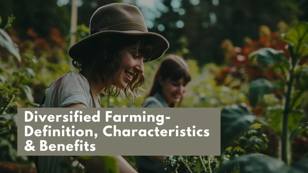 Diversified Farming