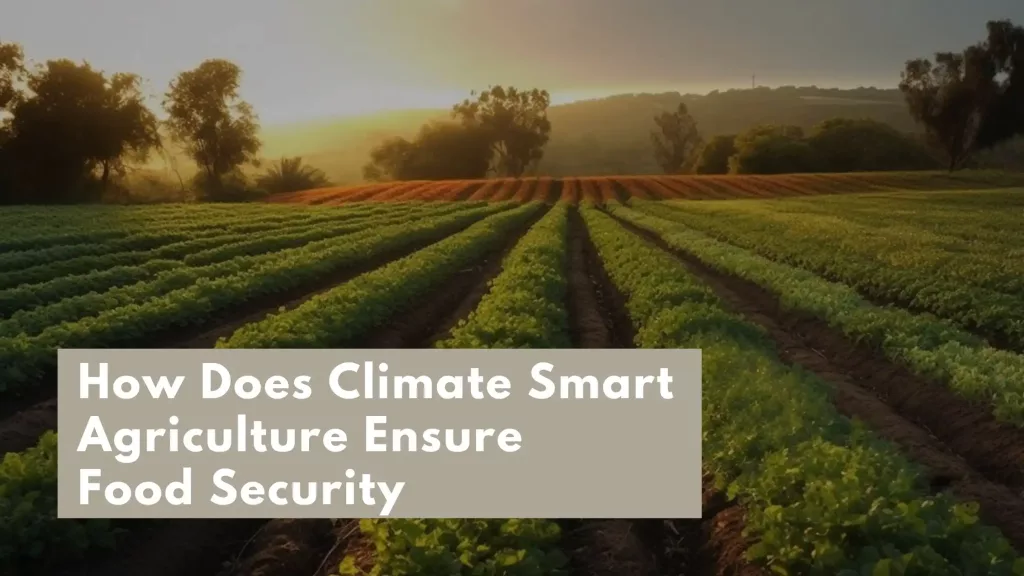 Climate Smart Agriculture Ensure Food Security