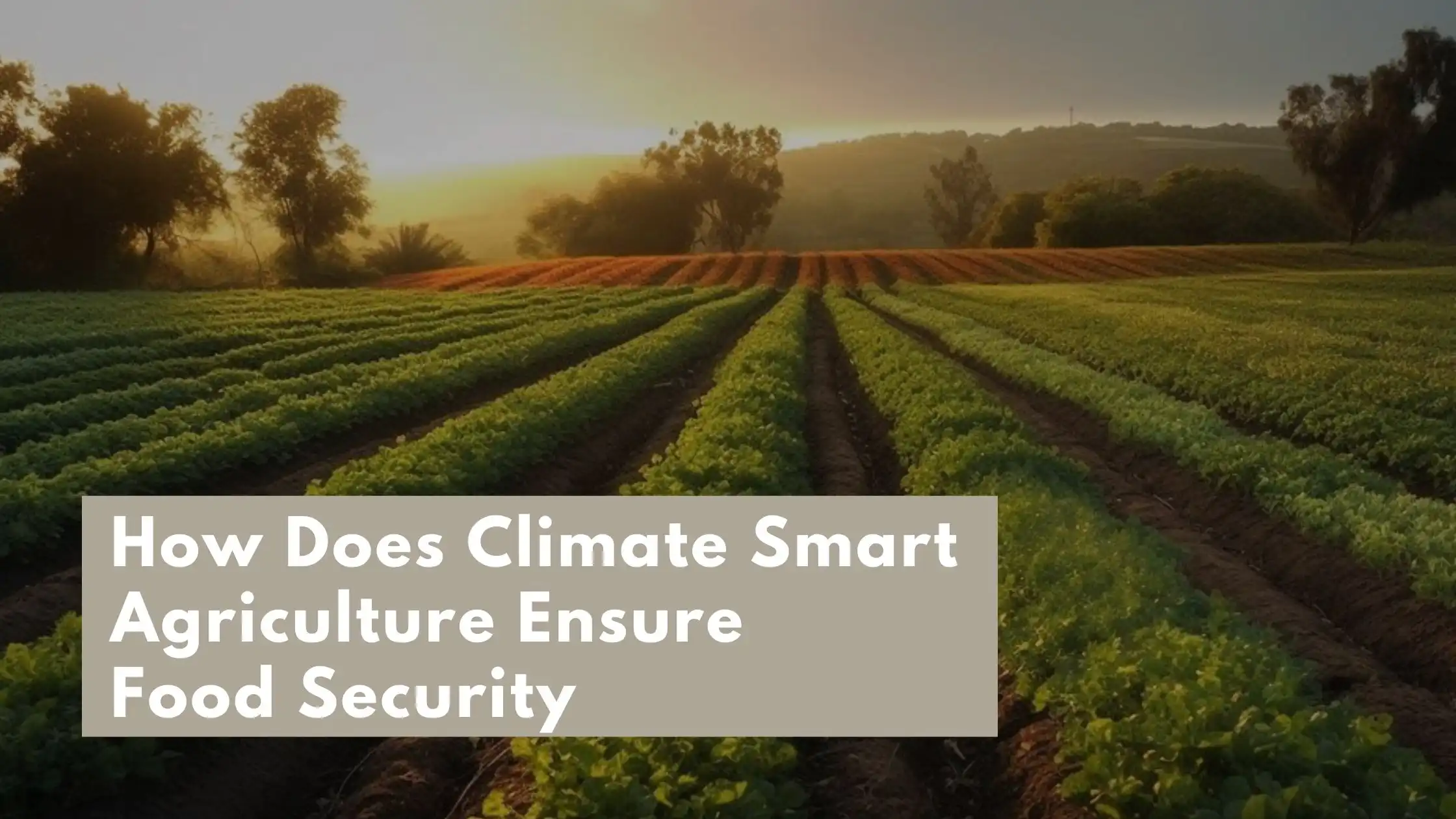 Climate Smart Agriculture Ensure Food Security