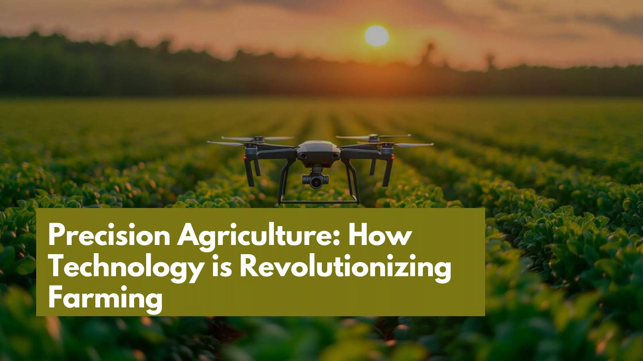 Precision Agriculture