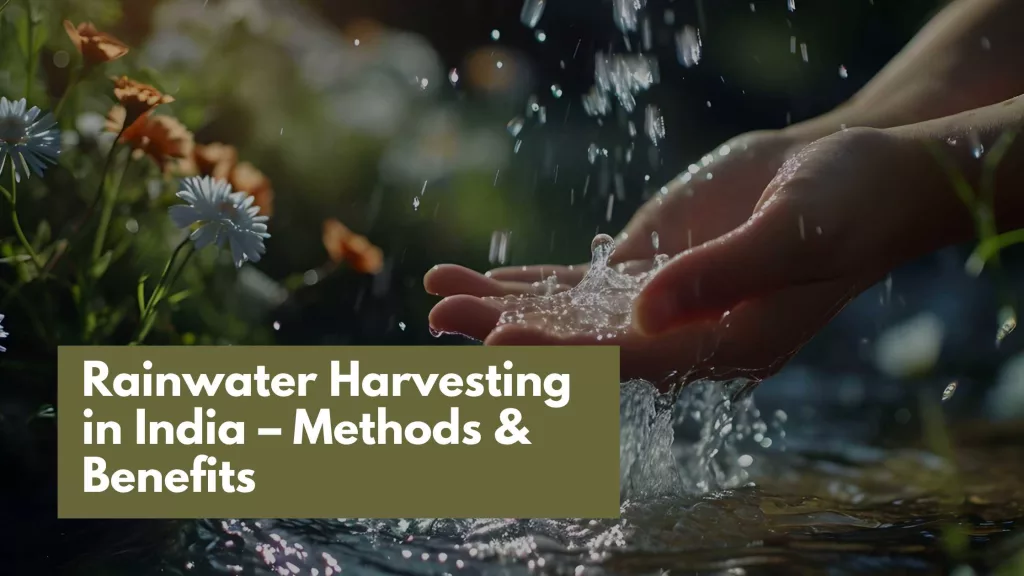 Rainwater Harvesting in India