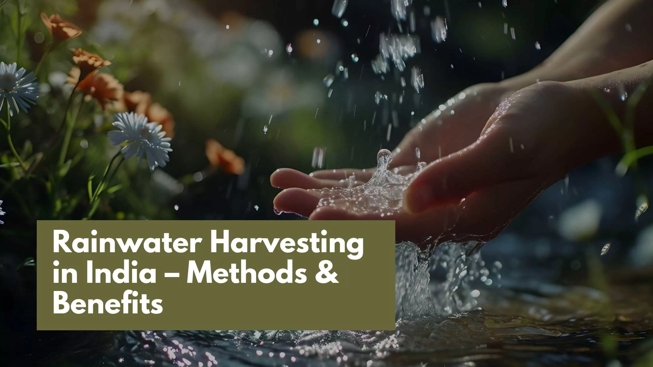 Rainwater Harvesting in India