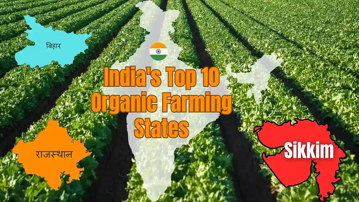 Organic State of India
