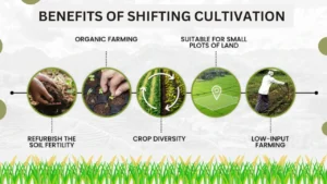 Shifting Cultivation