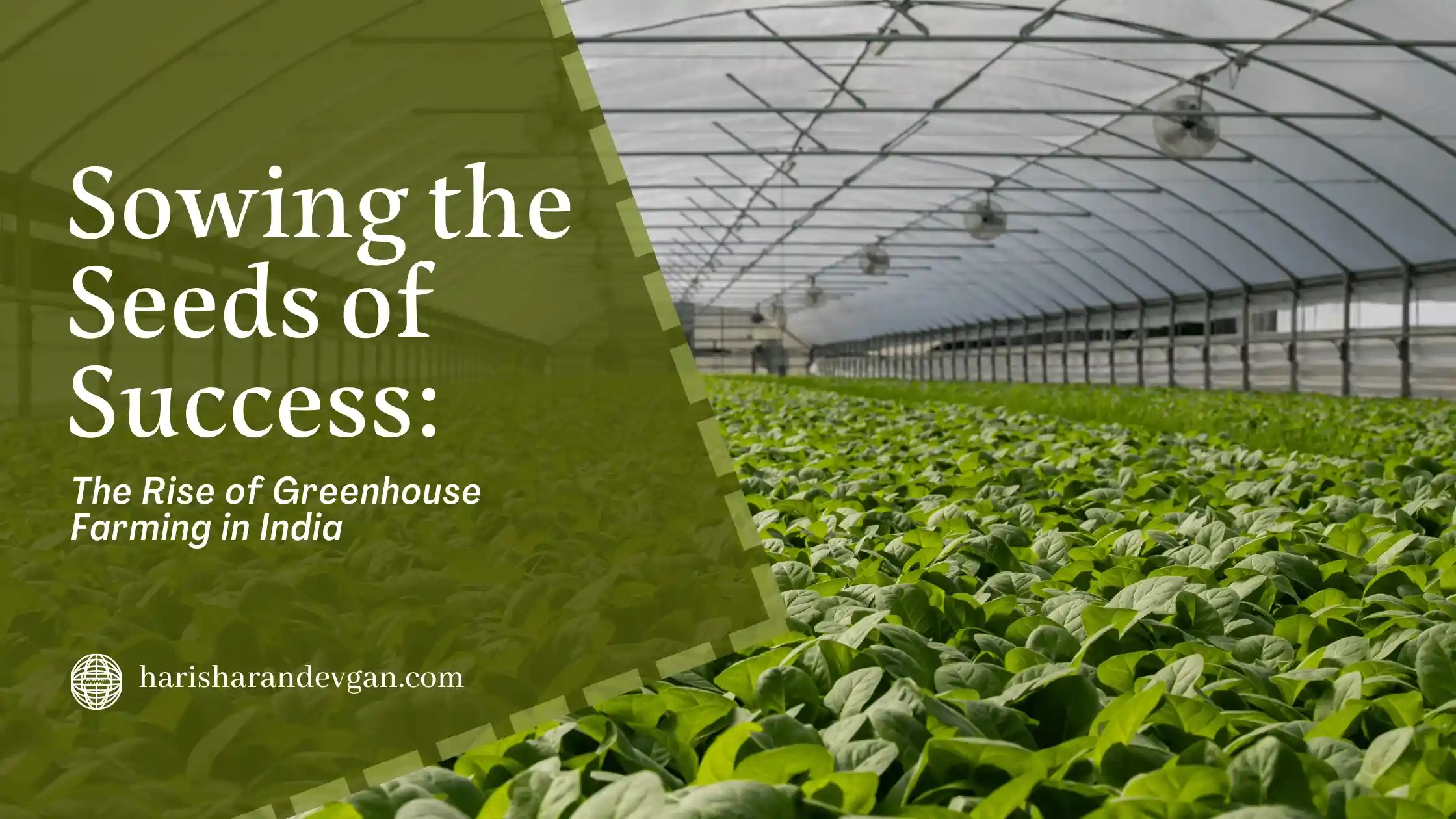 Greenhouse Farming in India