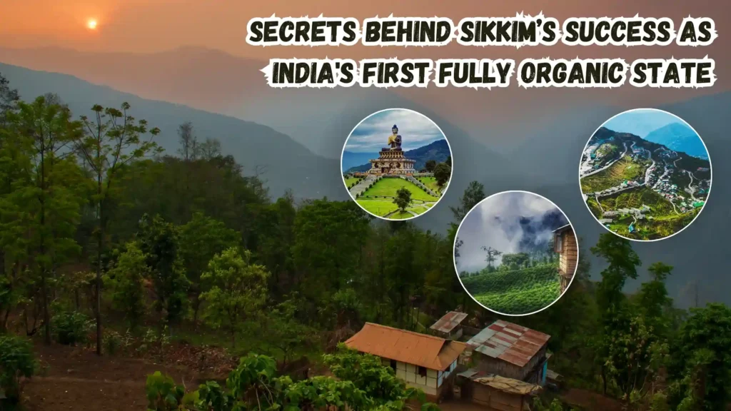 India's first fully organic state