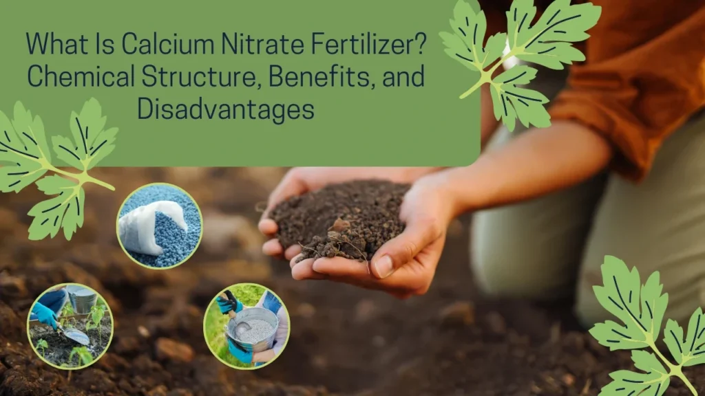 Calcium Nitrate Fertilizer
