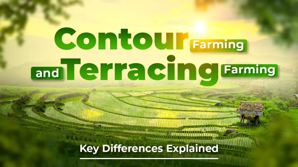 difference between contour farming and terrace farming