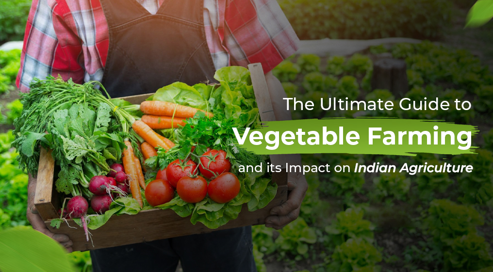 Vegetable Farming