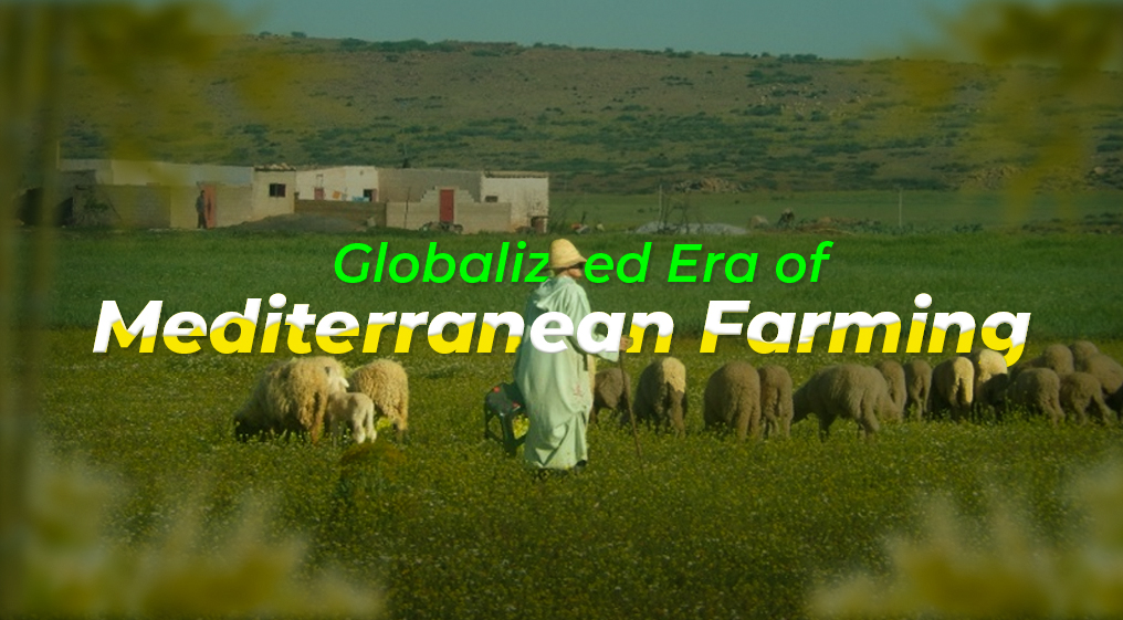 MEDITERRANEAN FARMING