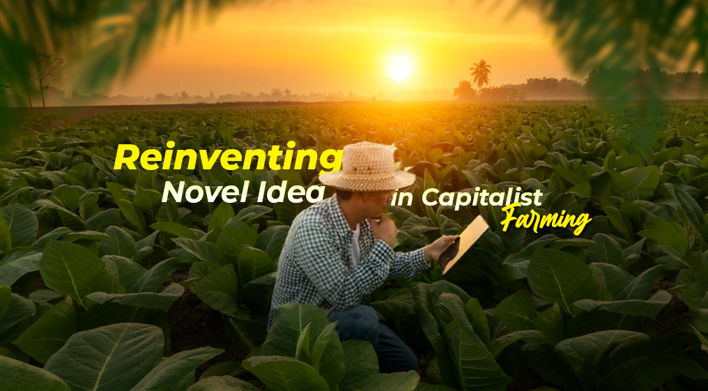 Capitalist Farming