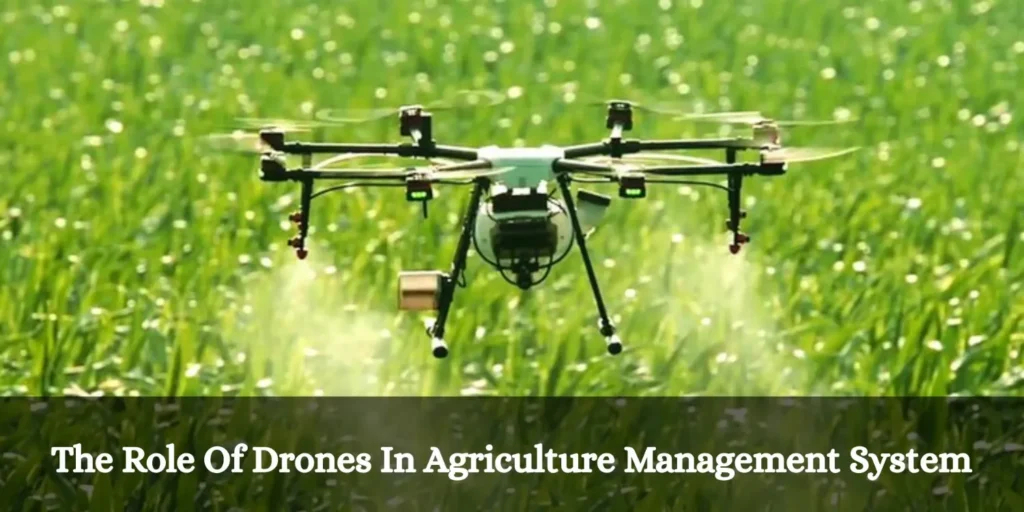 Drones in Agriculture