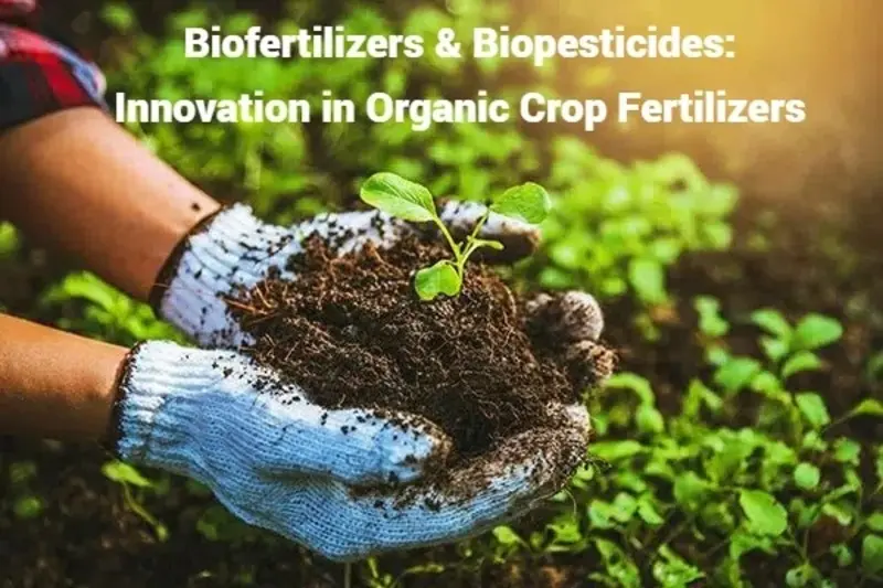 Organic crop fertilizers
