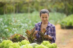 Economic Benefits of Organic Farming