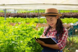 Economic Benefits of Organic Farming
