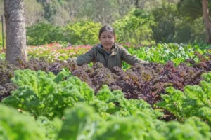 benefits of agroforestry