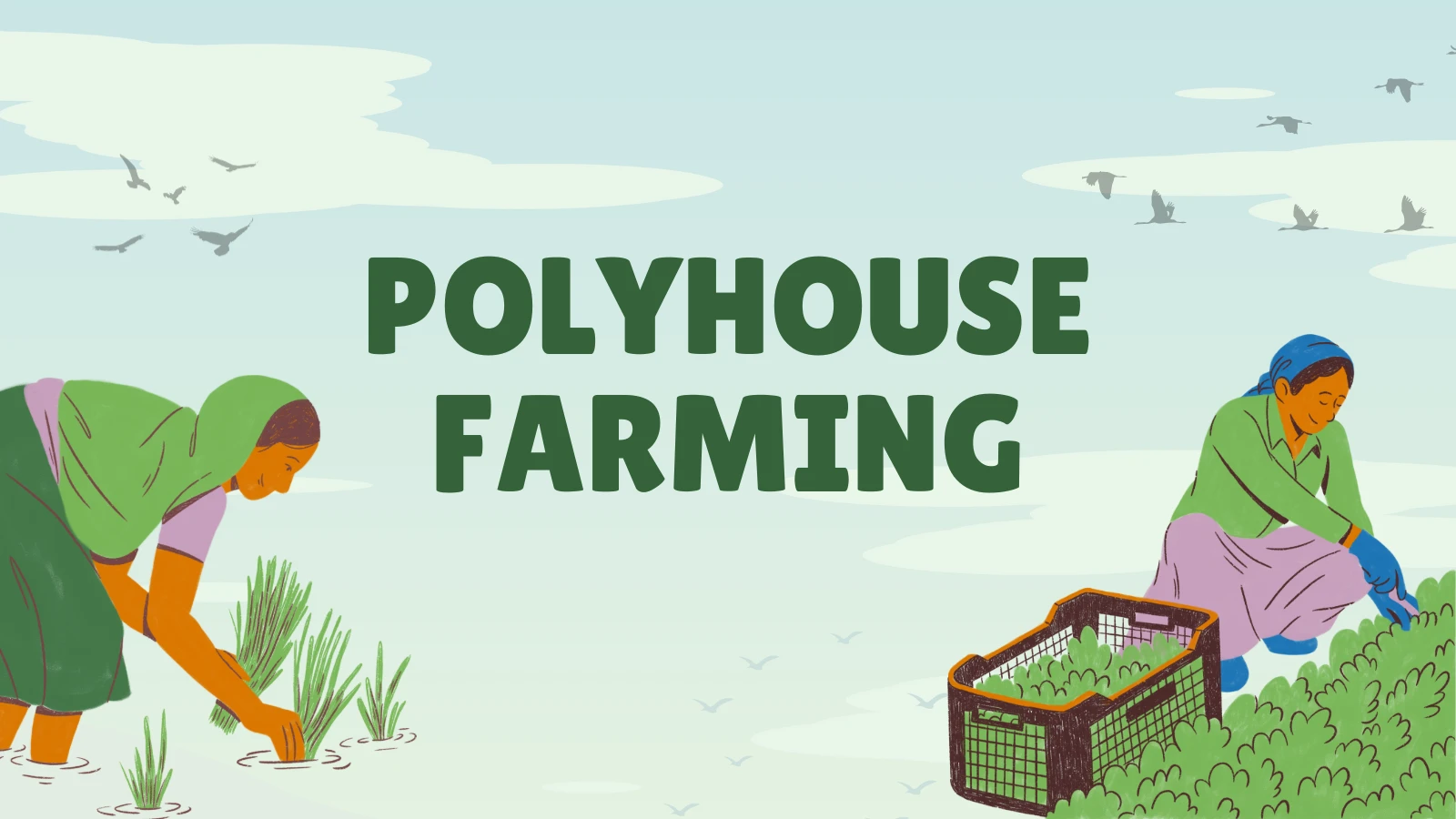 polyhouse farming
