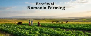 Benefits of Nomadic Farming