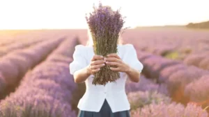 how to start a lavender farm
