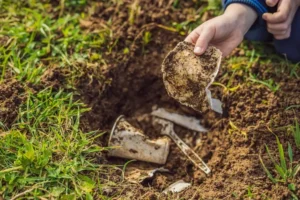 compost in organic farming
