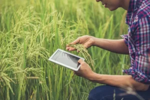 Advanced Farming Techniques in India