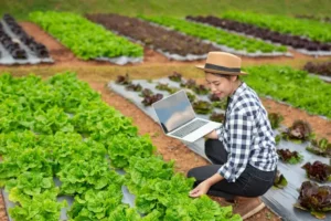 Advanced Farming Techniques in India