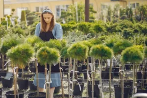 Benefits of Agroforestry in Agriculture