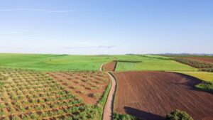 difference between contour farming and terrace farming
