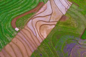 difference between contour farming and terrace farming