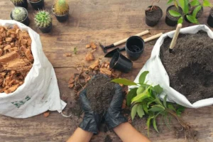 benefits of using compost