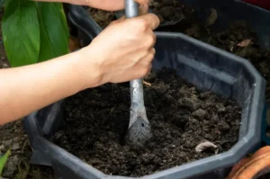 benefits of using compost