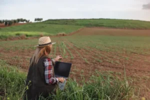 difference between contour farming and terrace farming