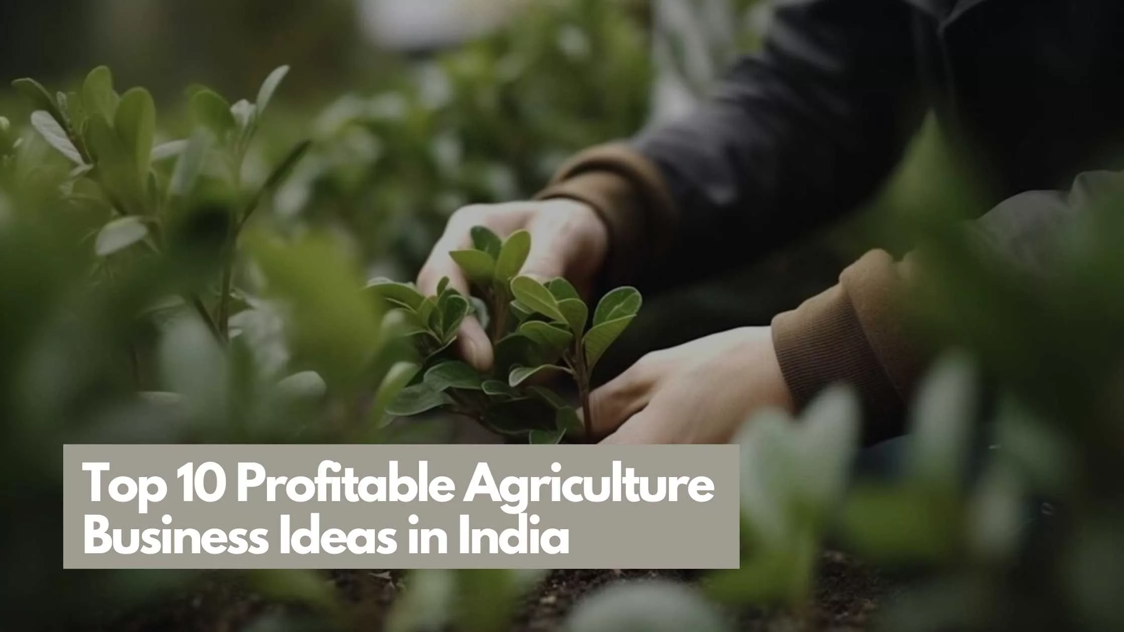 Profitable Agriculture Business Ideas