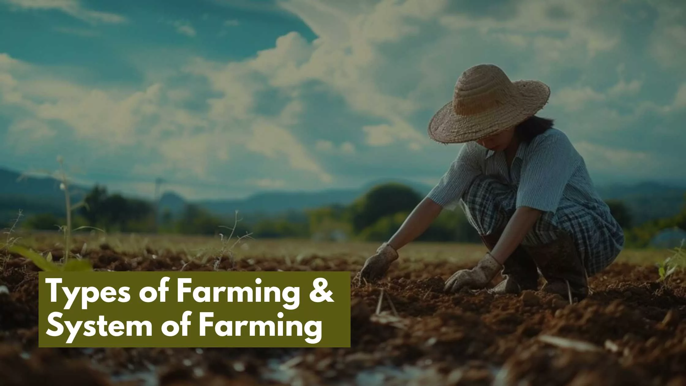 Types of Farming