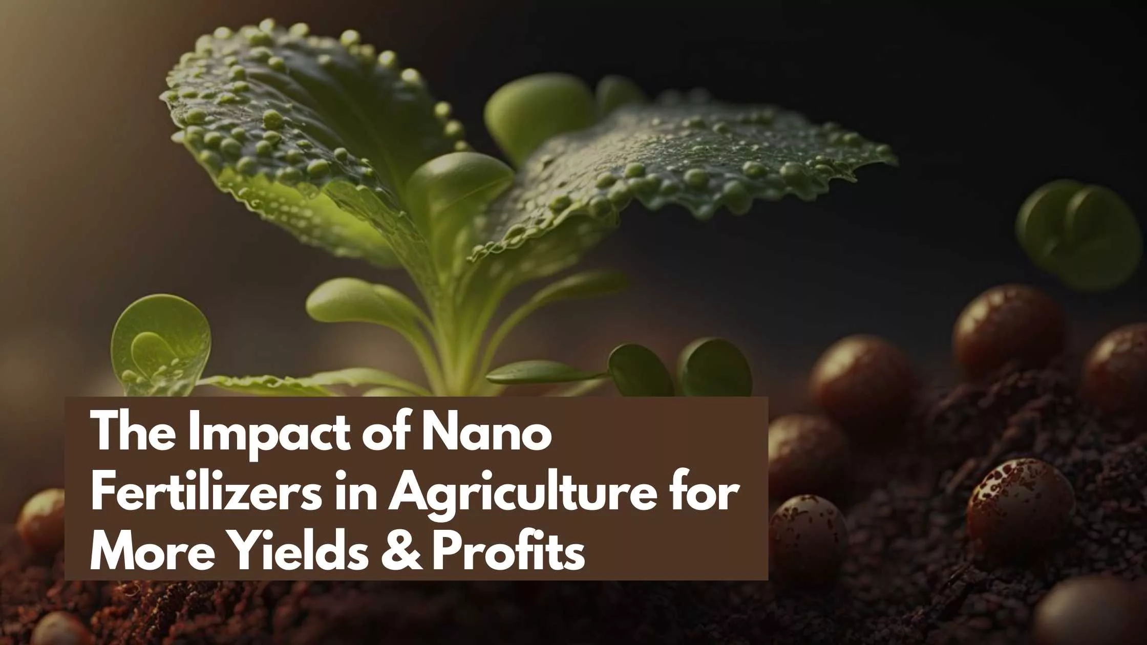 Nano Fertilizers in Agriculture