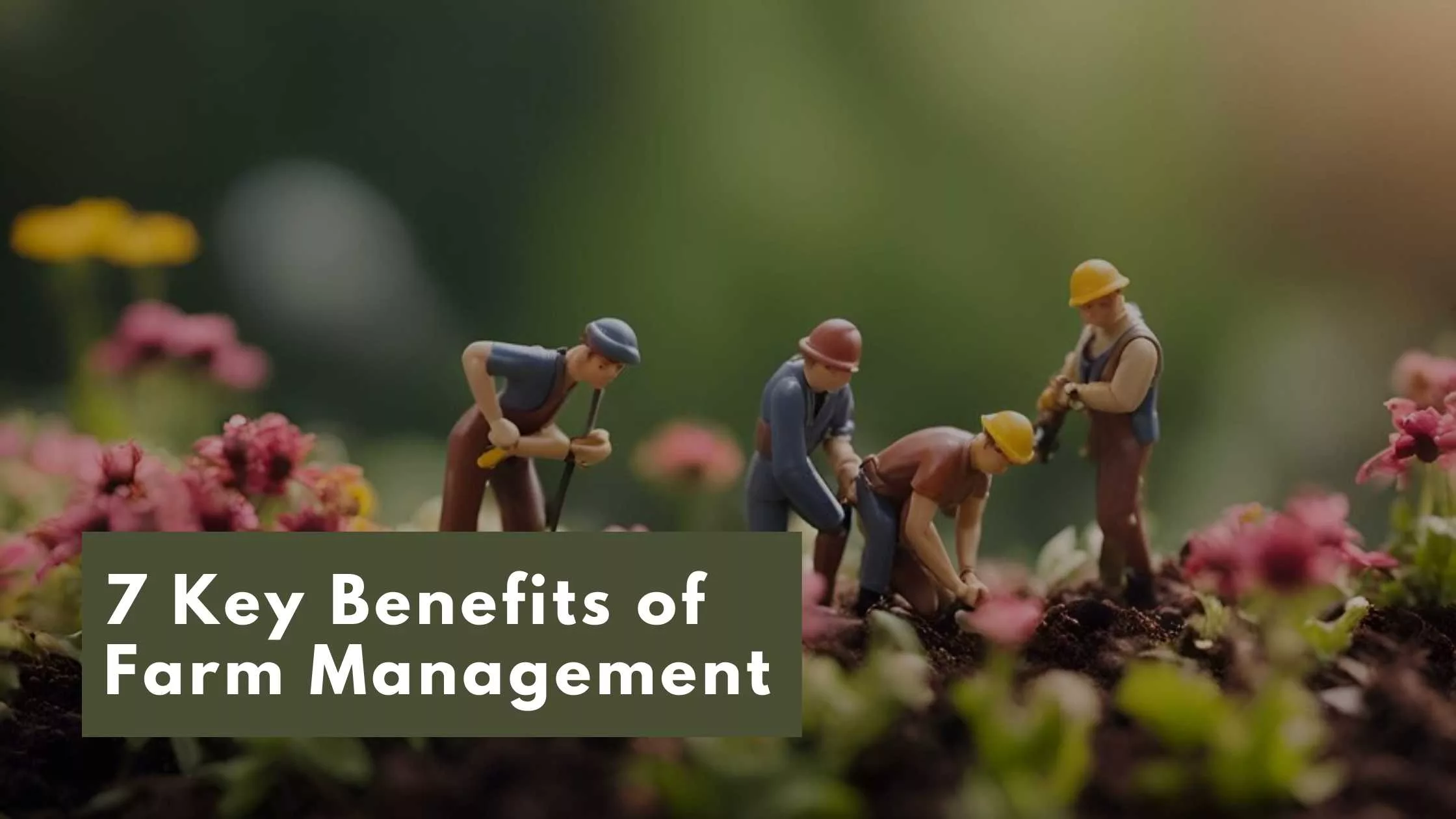 Key Benefits of Farm Management